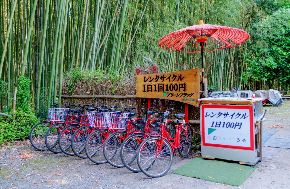Bicycles umbrella nature