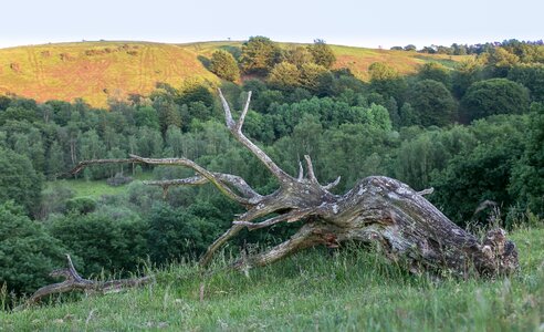 Hills summer viborg photo