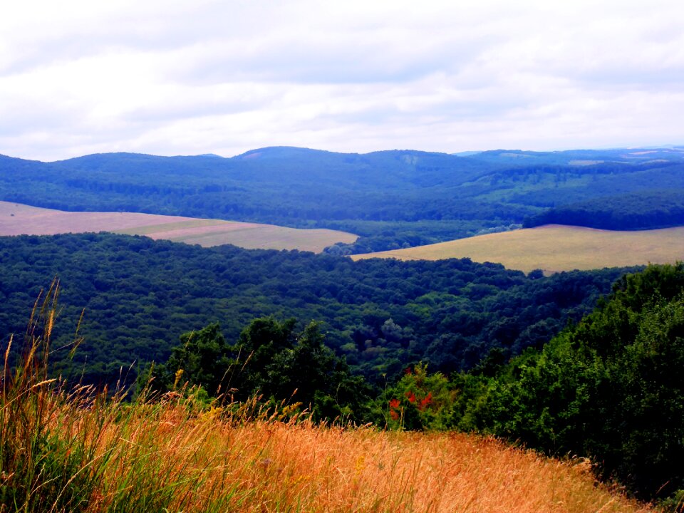 Field hungary vegetation photo