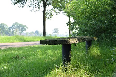 Rest bank wood bench