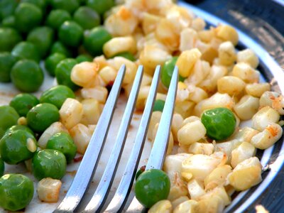 Fork on plate fork peas on plate photo