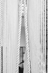 Black and white suspension