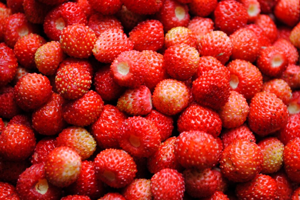 Health background sweet
