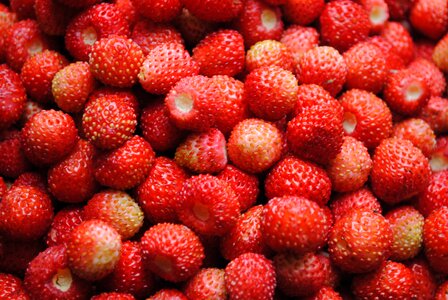 Health background sweet