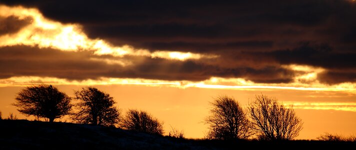 Morning natural silhouette