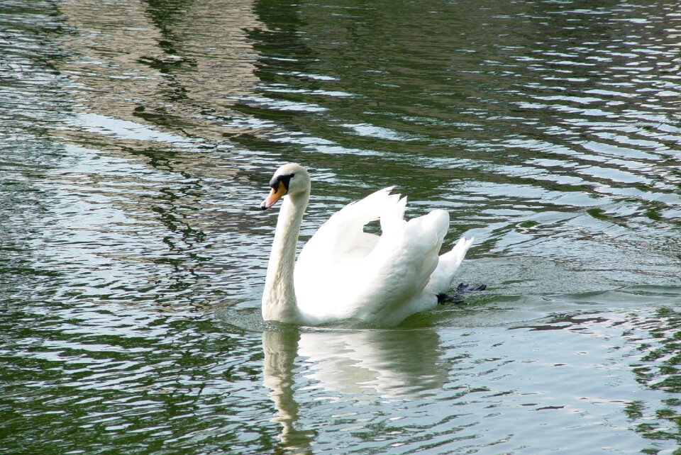 Park water pond