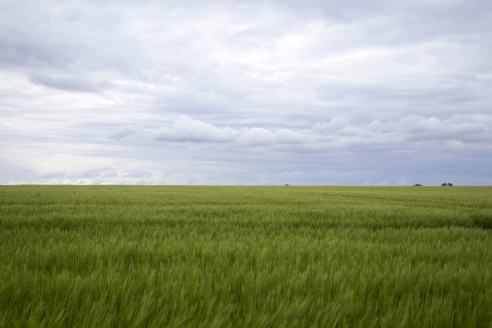 Nature green agriculture