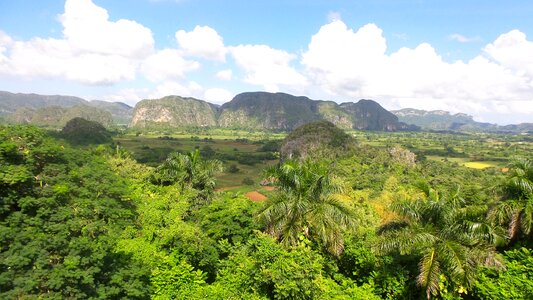 Vedado landscape nature