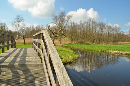 Ankeveen water grass