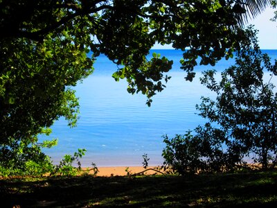 Blue water nature