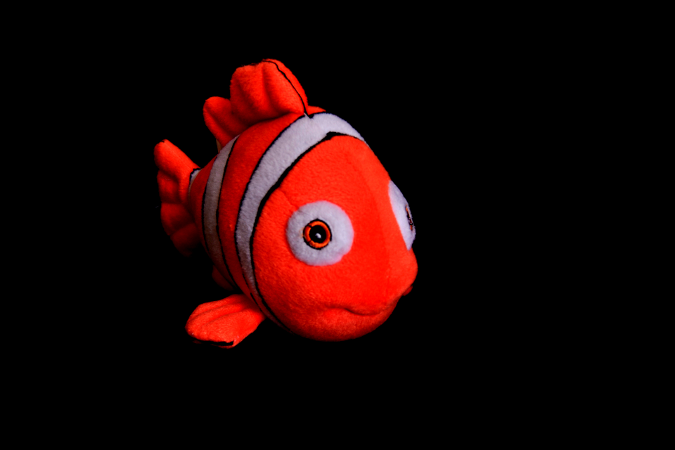 Fish pillow toys nemo