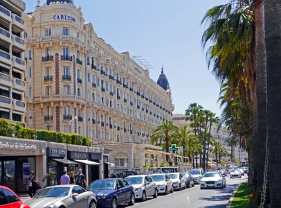Palm trees hotels mediterranean photo