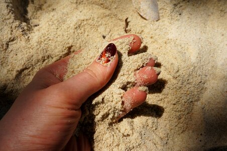 Beach fingers yellow sand