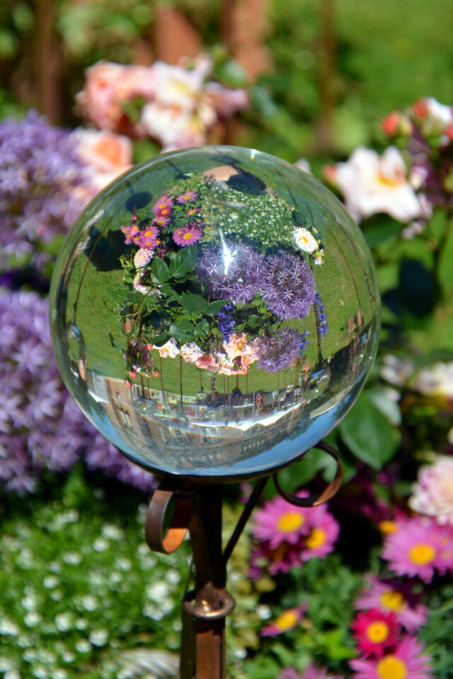 Reflection flowers glass ball