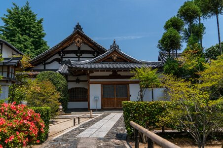 Garden sky trees