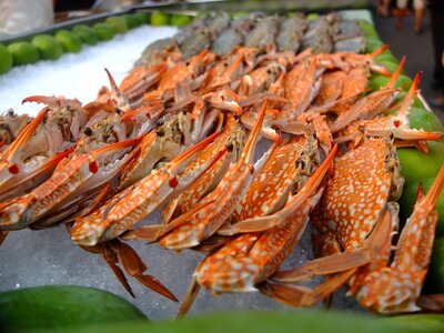 Food steamed crabs fresh market