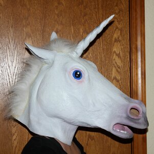 Masked face costume