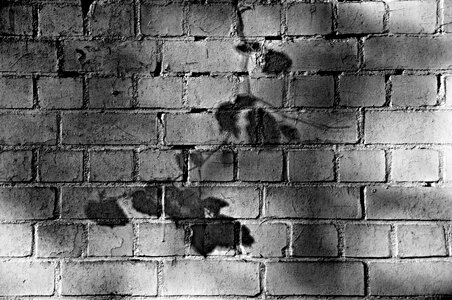 White brick wall white washed shadow