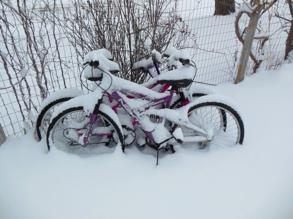 Bicycle cycle bicycling