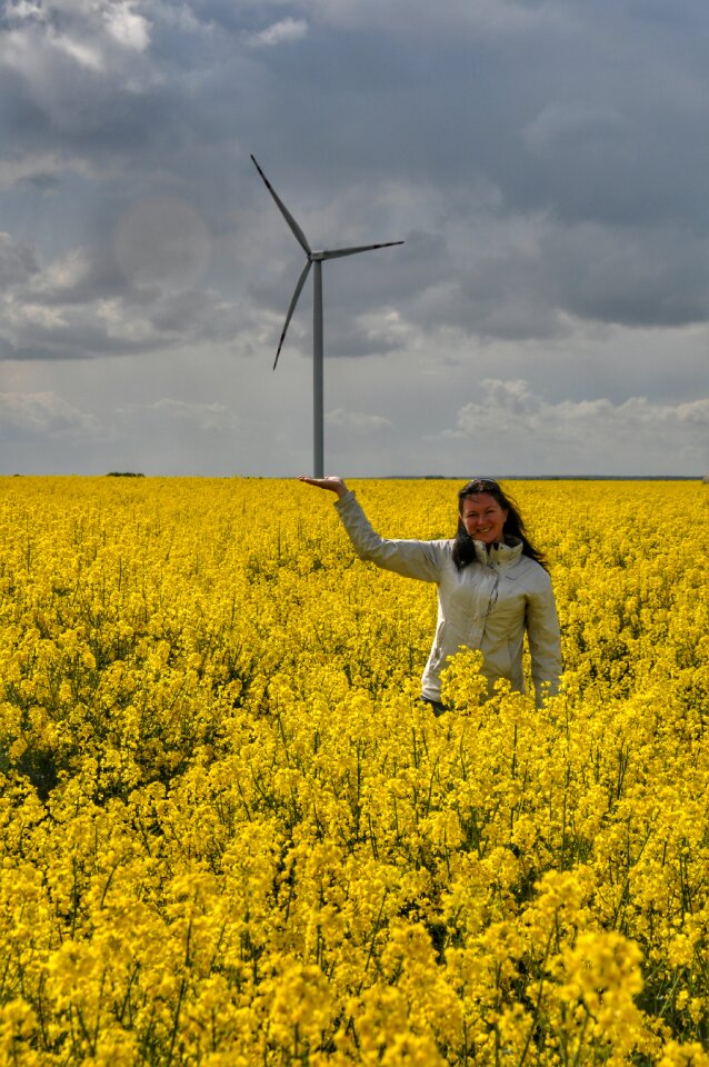Rapeseed spring energy