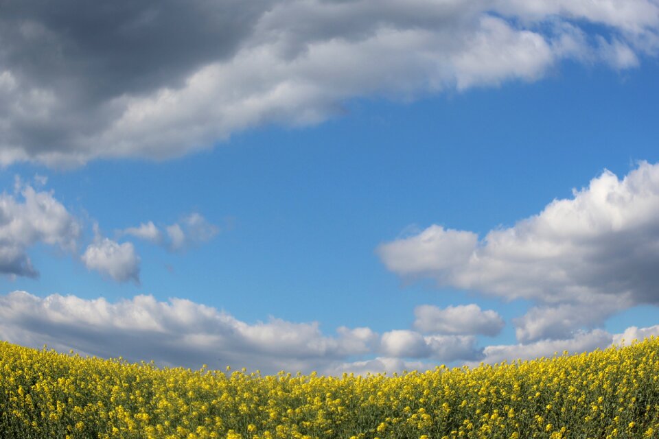 Blue yellow clouds