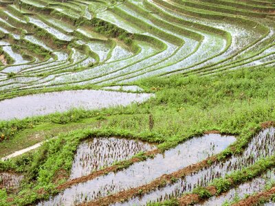 Sapa asia travel photo