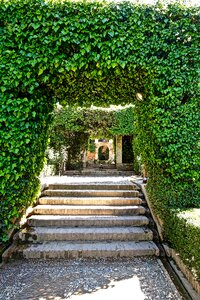 Greenery outdoor perspective