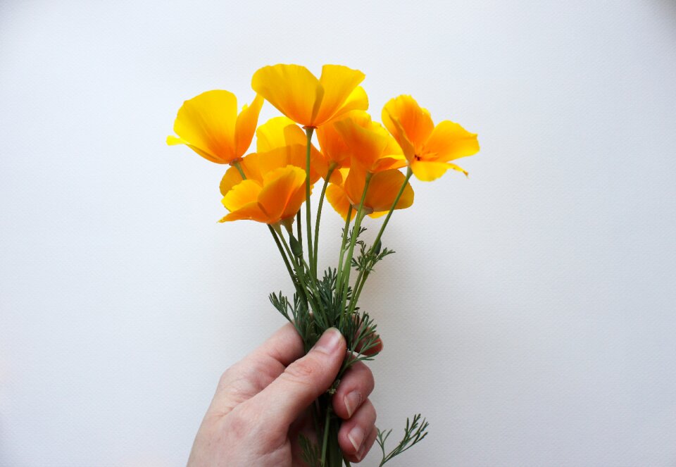 Orange usa natural