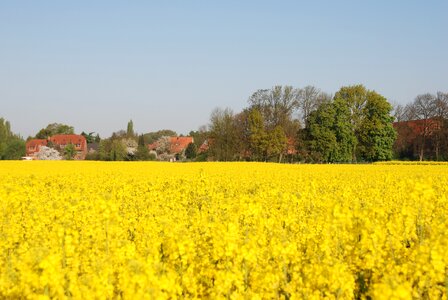 Field agricultural agriculture