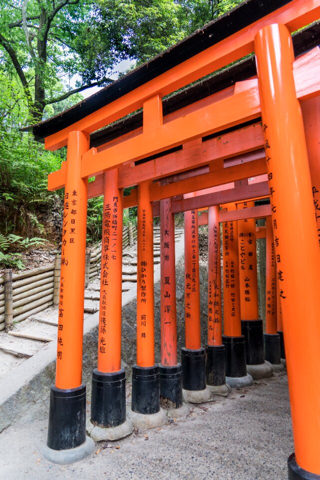 Fushimi inari landmark photo