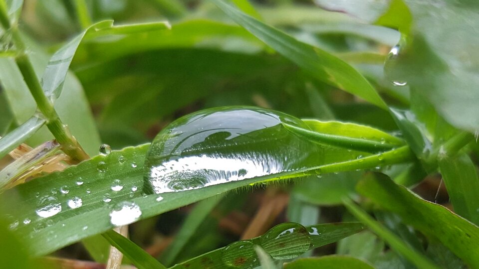 Droplets beads beading photo