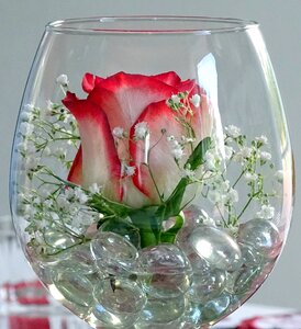 Wine glass red rose decorative