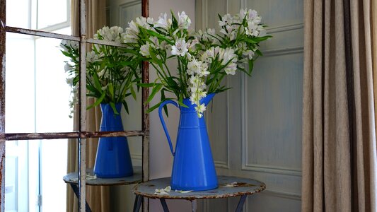 Blossom bud bunch