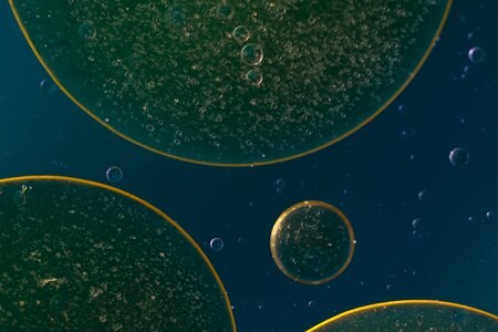 Texture macro oil