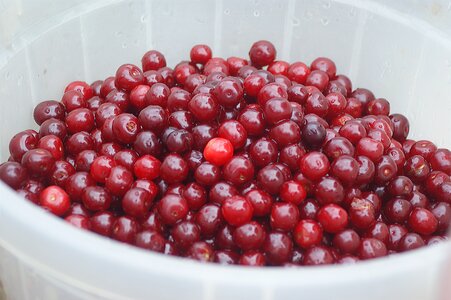 Fruit nature food