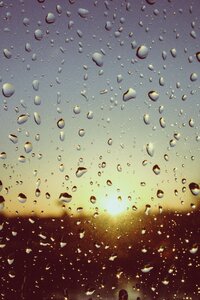 Rain drip drop of water photo