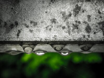 Raindrop close up wet photo