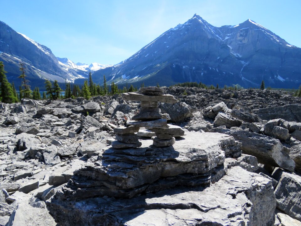 Alberta canada symbol