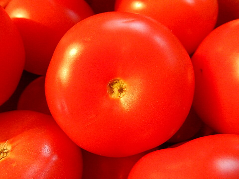 Food fresh organic