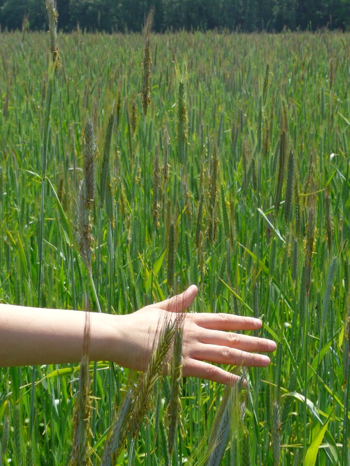 Nature freedom child