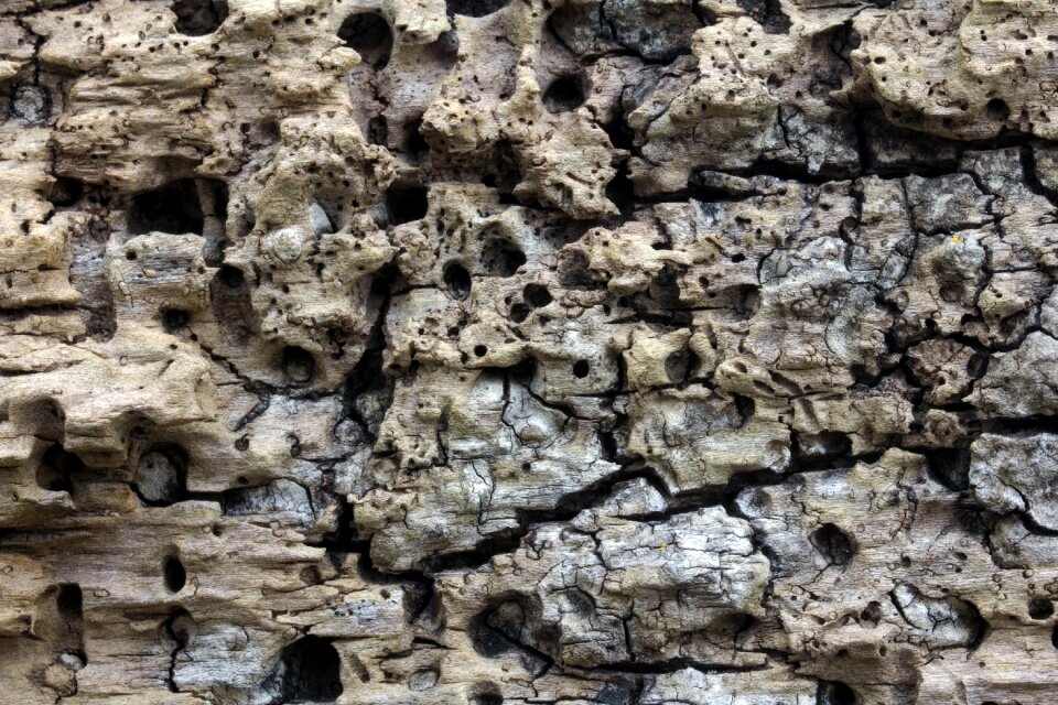 Background structure texture