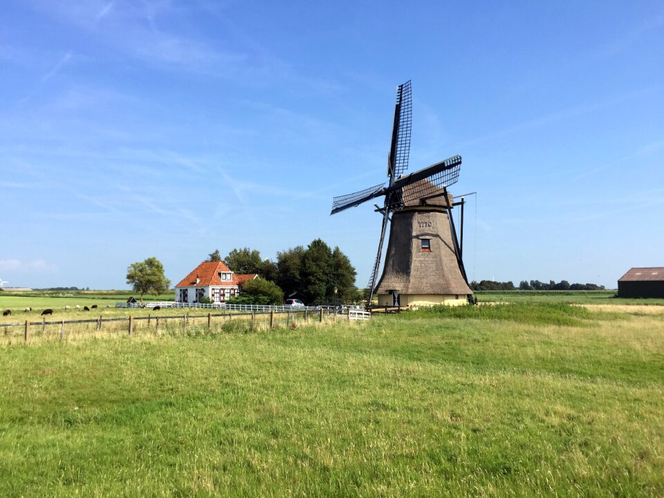 Green wind nature