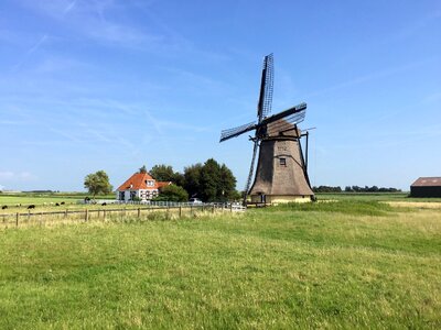 Green wind nature