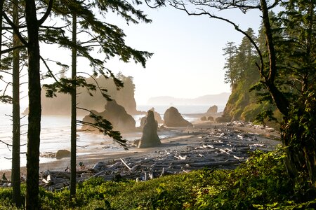 Pacific coastline olympic