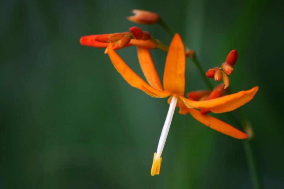 Nature love fresh