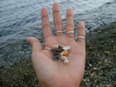 Sea small sand