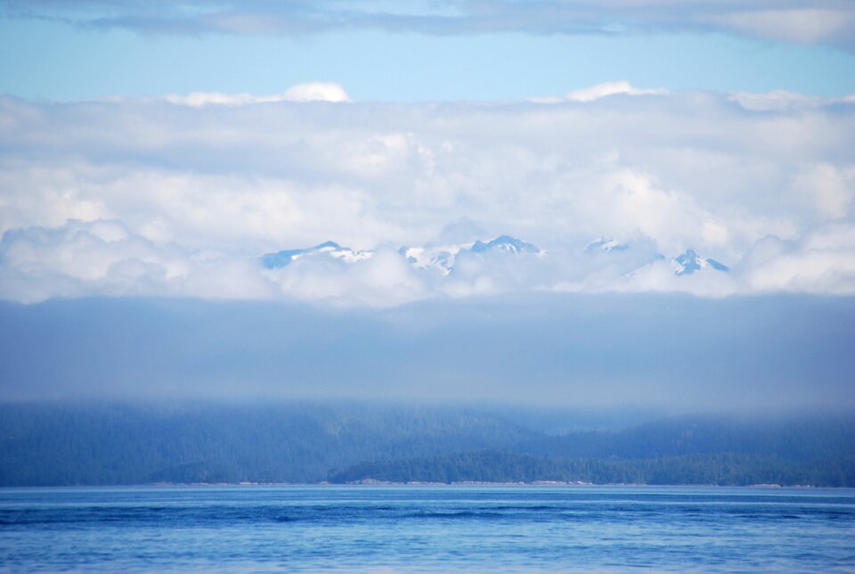 Landscape fog mist