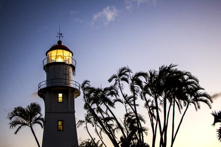 Palm tree lighthouse oahu