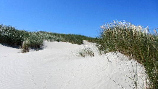 Nordfriesland baltic sea sand photo