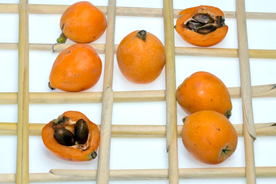 Medlars fruits composition